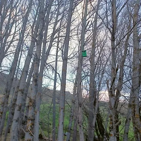 El Rinconcico דירה