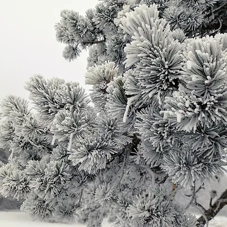 דירה El Rinconcico ואלדלינארס
